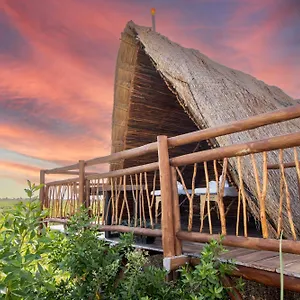 https://hotel-casa-hx.quintano-roohotels.com