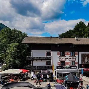 Отель Hotel Pinzgauerhof - Inclusive Evening Dinner Зальбах-Хинтерглемм