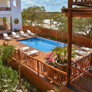 https://casa-hx-adults-only.quintano-roohotels.com