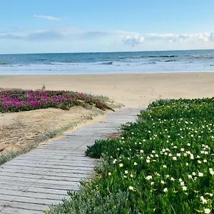 https://hostal-playa.es-andalucia.com